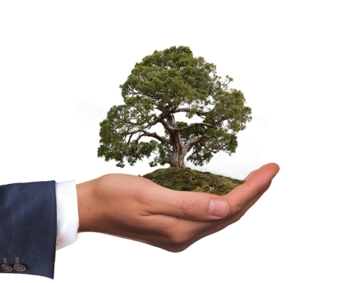 Eco-driving - Allians Trafikskola Stockholm