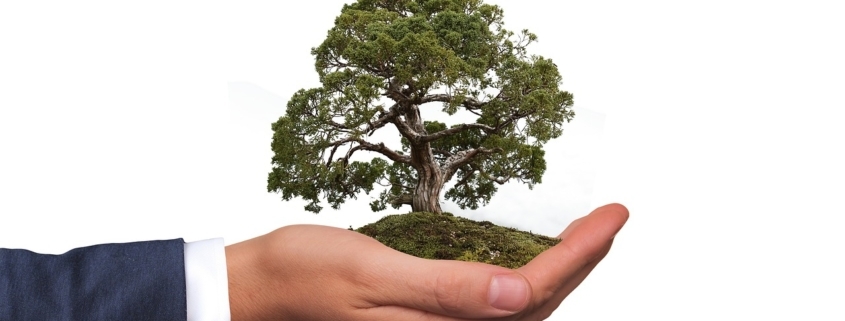 Eco-driving - Allians Trafikskola Stockholm